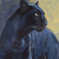 44A Panther