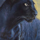 44A Panther
