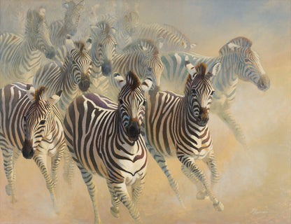 44B Zebras