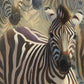 44B Zebras