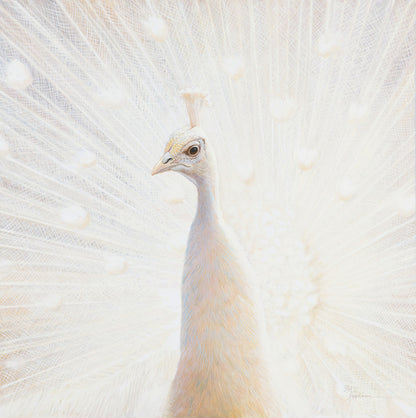 44E Peafowl